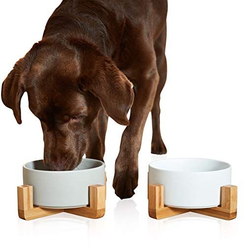 owalo design Hunde Futternapf Erhoht