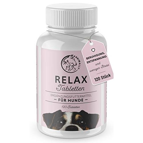 beruhigungsmittel fur hunde test vergleich 05 2021