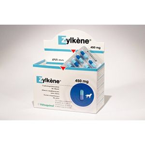 Homöopathische tierarzneimittel Beruhigungsmittel für Hunde » Test & Vergleich | (12/2020) 🥇