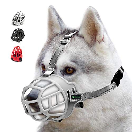 maulkorb test unsere top empfehlungen im vergleich 2021