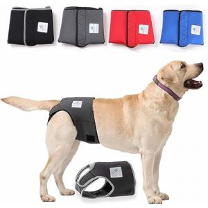 Nature Pet Läufigkeitshose in 9 Größen