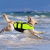 RC GearPro wasserdichte Hunde-Schwimmwesten mit zusätzlicher Polsterung für Hunde 