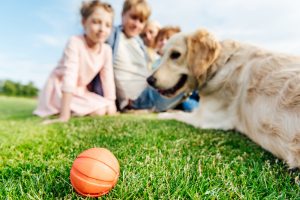 Familie mit Hund und Ball