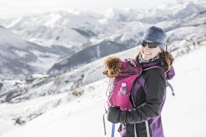 Kleiner Hund im Rucksack