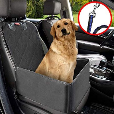 Autositz für Hunde - so transportierst Du einen kleinen Hund - Floxik  Premium Hundeprodukte