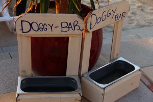 Hundebar aus Holz