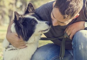 Mann mit Border Collie im Park